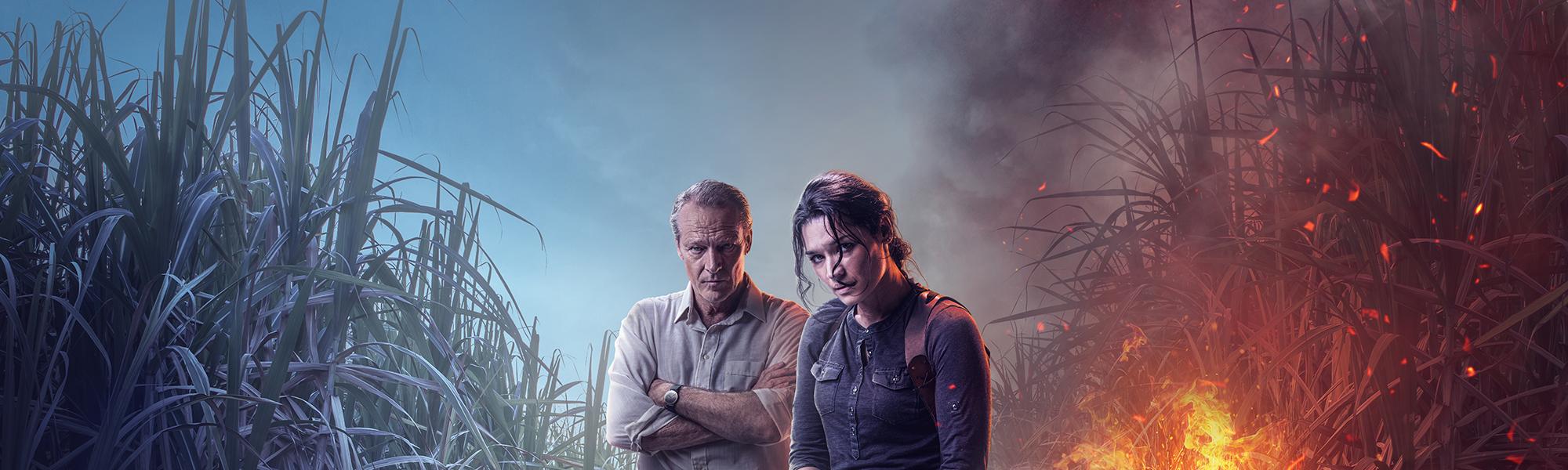 Channel 4 acquires gritty South African crime drama The Cane Field