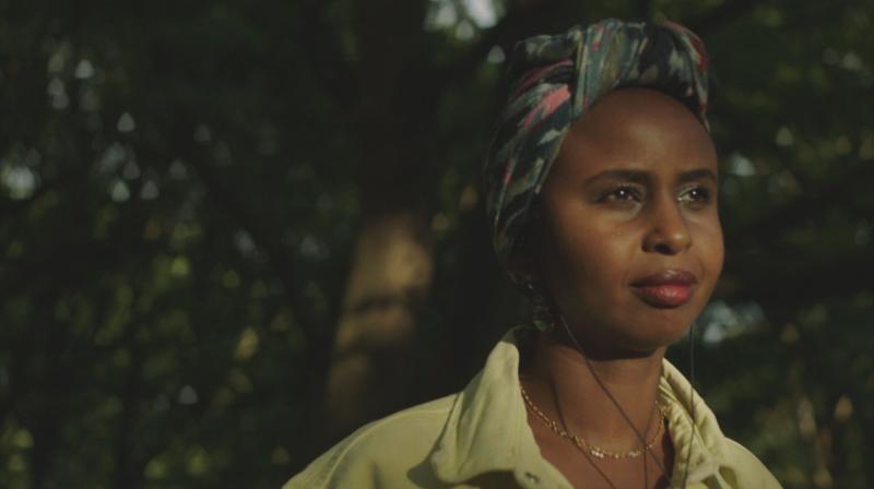 Britain's Human Zoos, Channel 4