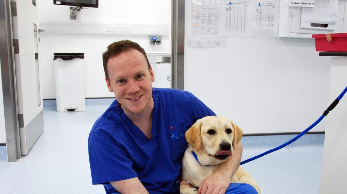 Supervet