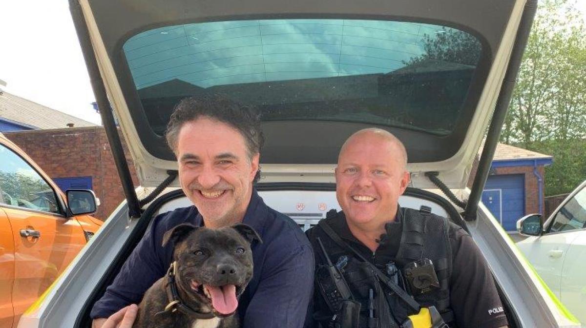 Animal Rescue Live