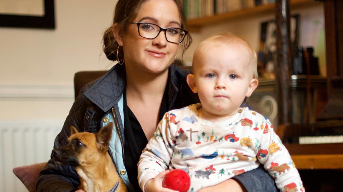 Train your Baby Like A Dog