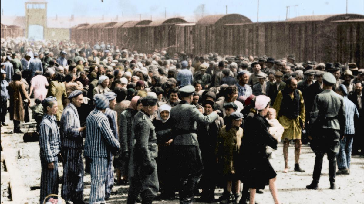 Auschwitz in Colour