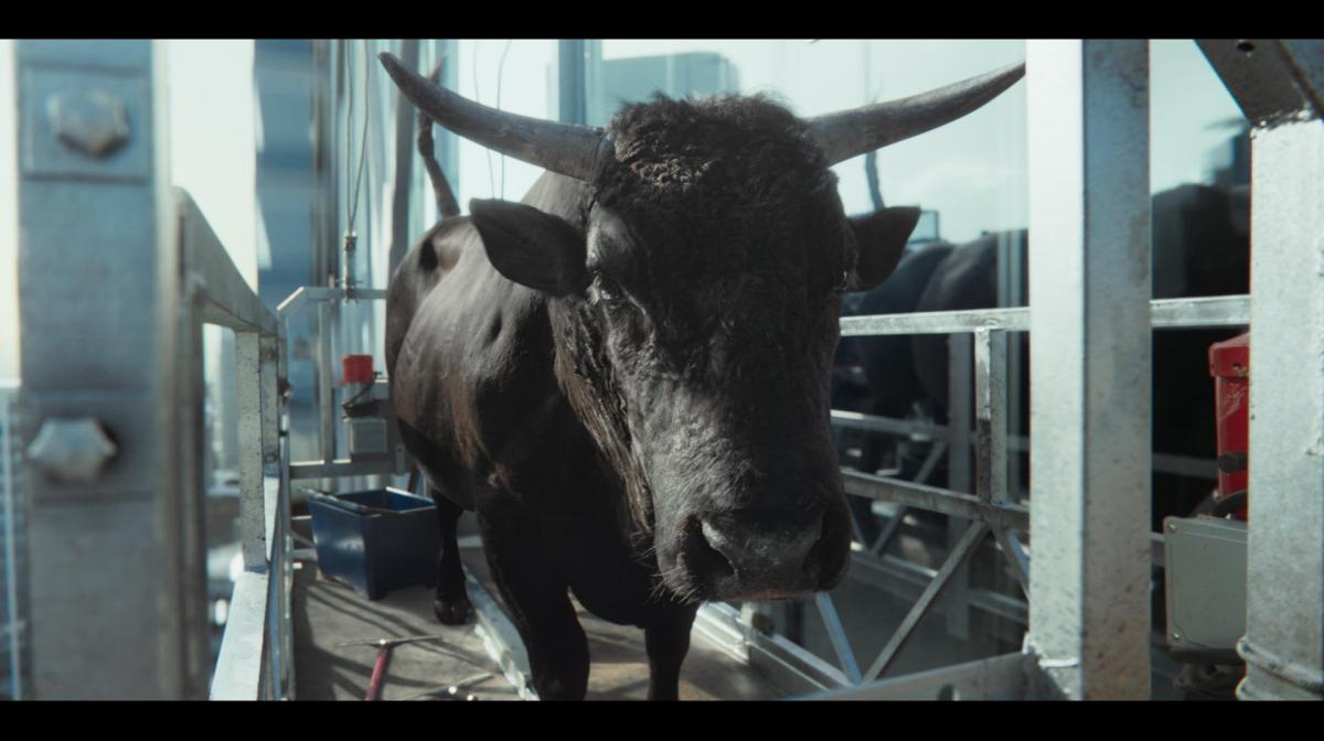MoneySuperMarket